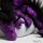 Shoulder dragon XXL, Special Ed., holo lizard purple, plushy crest