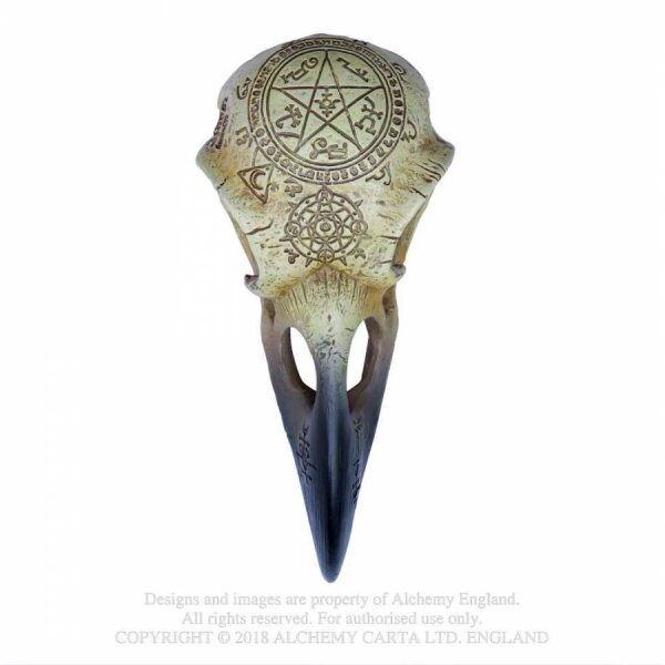 Omega Raven Skull , Resin, Alchemy